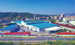 大洋塑胶设立“海豚优服”